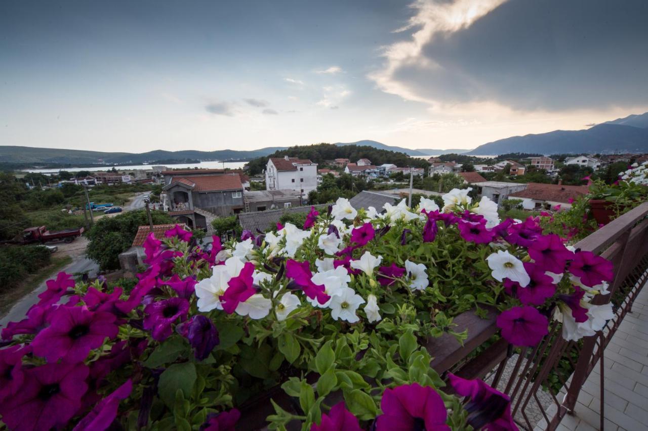 Apartments Pavicevic Tivat Rom bilde